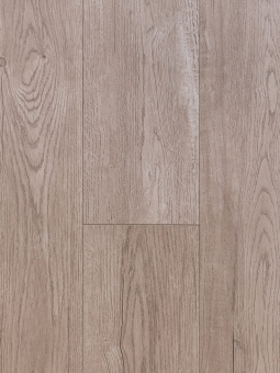 3162 Дуб Гайана