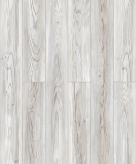 7051 Сосна Арктическая