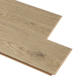 50927 Дуб Мориссен