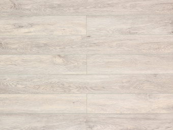 Дуб Гарднер