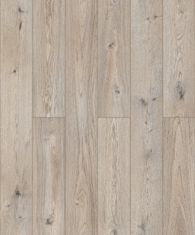 D50937 Дуб Митфорд