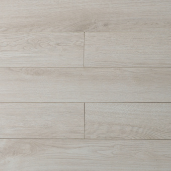 16141 Дуб Робусто