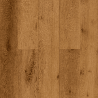 LF305-13 Дуб Помона