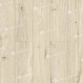 LF101-02 Дуб Салерно