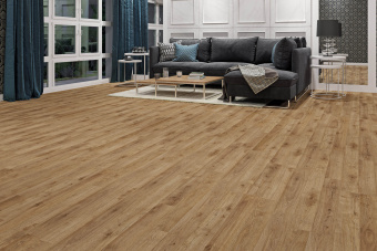 1805  Дуб Дворцовый