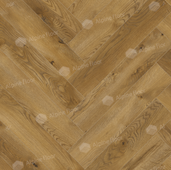 63267 Дуб Беникарло