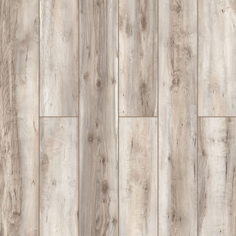 59817 Дуб Биас