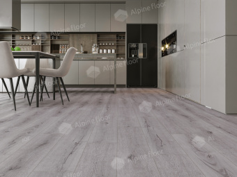 LF100-19  Дуб Катания