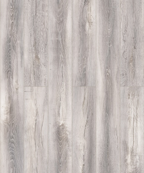 D50027 Дуб Карлеон