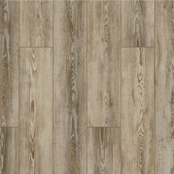 ID08 Сосна Шик