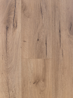 4101 Дуб Лесото