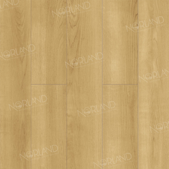 LF302-06 Дуб Лузон