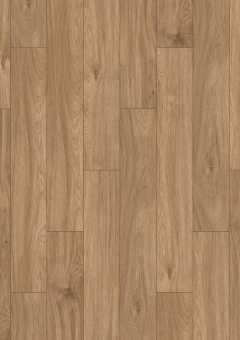 K338 Дуб Креденца