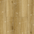 LF100-06 Дуб Ливорно
