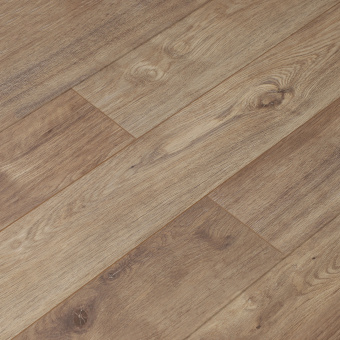 16146 Дуб Фигуардо