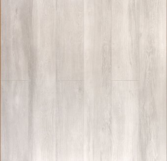 D50167 Дуб Янте