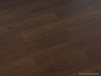 1220 Дуб Бурый