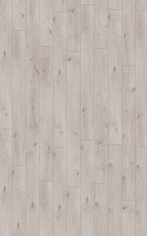 3179 Дуб Эверест белый