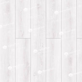 LF101-12 Дуб Эльба