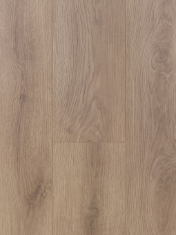 3053 Дуб Тонга