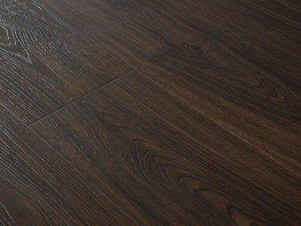 206 Дуб Виндзор