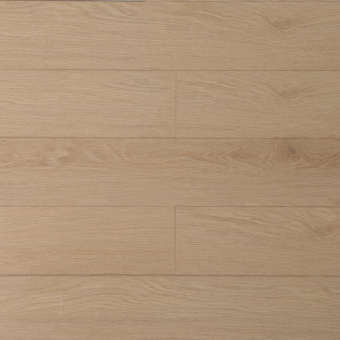 16144 Дуб Лансеро