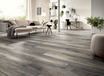 3572 Дуб портовый серый