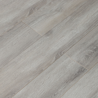 16143 Дуб Президент