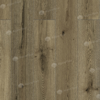 LF101-22 Дуб Эмполи