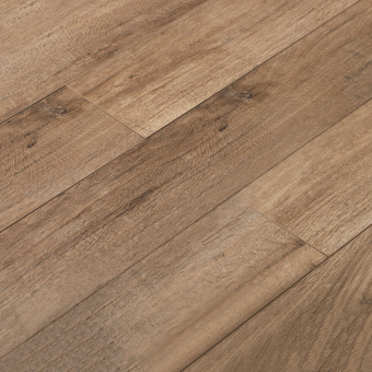 16145 Дуб Перфекто