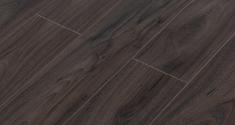 LM32 Орех Монтенегро